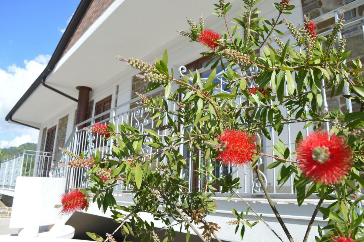 Sotto Il Cielo Del Cilento Hotel Ostigliano Exterior photo